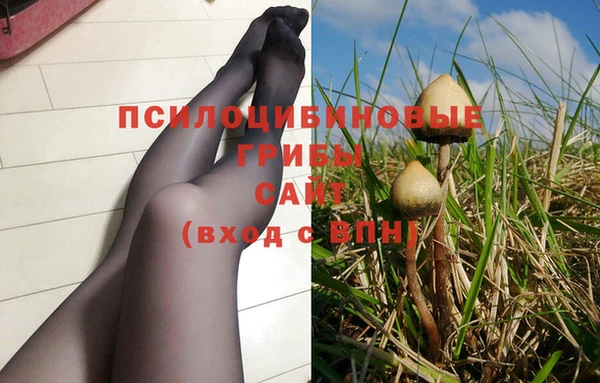 бошки Алексин