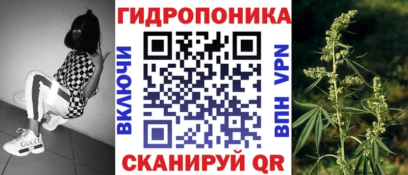 купить закладку  Островной  Шишки марихуана VHQ 